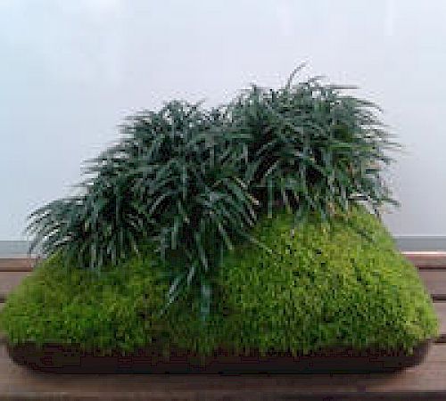 Gallery Giardino zen esempio 1 - giardino-zen-esempio-1.jpg