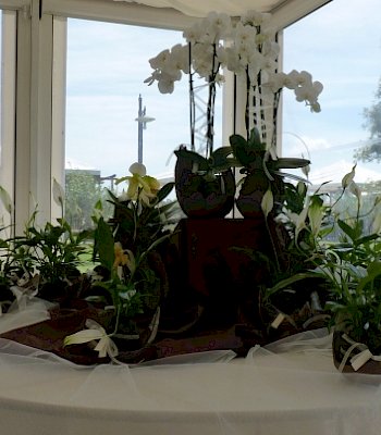 Allestimento matrimonio