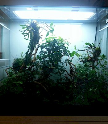 Plantarium